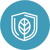 blue leaf icon